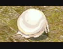 【RO】無属性耐性を100％にしてみた