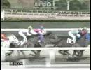 2012/12/29　園田競馬2R　マイネルブレス出走