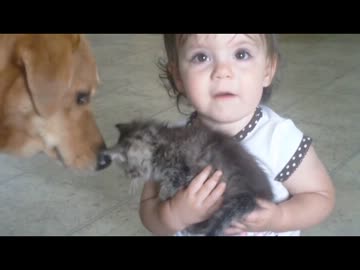 子猫を大事そうに抱える赤さん