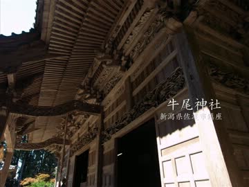 【高画質】古社の風景 ～佐渡 牛尾神社～