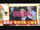 第2次安倍内閣支持率55%　第1次の63_6%下回る　FNN世論調査(12_12_28)