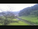 夏、田んぼと神社とヒグラシと