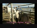 【未だ見ぬ新天地を求めて】房総ツーリングpart2