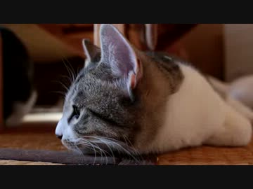 寝正月前のウォーミングアップ。