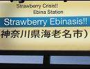 Strawberry Ebinasis!!