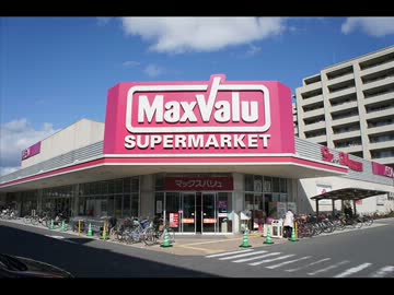 こんなドン・キホーテは嫌だ　歌ってみた