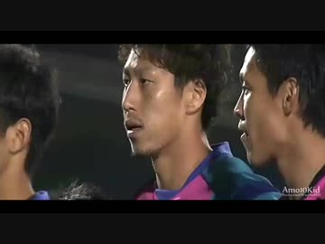 【サッカー】豊田陽平ゴール集【2012】