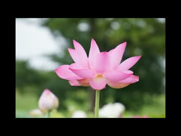 ２０１２年good-bye!