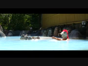 温泉白馬の九州八十八湯めぐり～第九湯