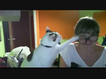 どうしても飼い主のメガネを外したい猫