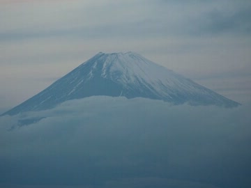 初ひで（・ω・）