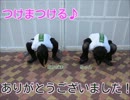 【みゅんとあかだま】つけまつける【踊ってみた】