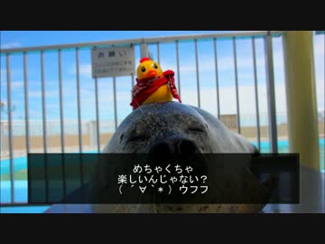 ペニャイダーの自転車日本一周１（準備編）.mp4