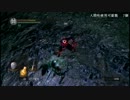 【DLC初見】ダークソウルDLC実況　パリィ縛り　＃２４【人生初老】　