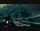【ダークソウル】脳筋キャラ制作の記録13【プレイ動画】