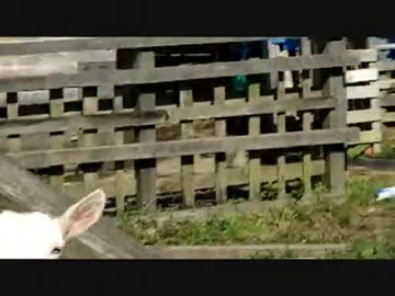 山陰・九州歩き旅　その１　京都編