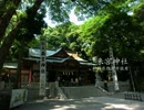 【高画質】古社の風景 ～伊豆 来宮神社～