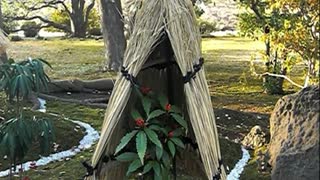 六義園 正月