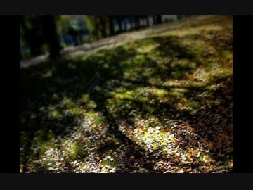 【アコギ多重録音】　ラセンナワタシ　【instrumental】