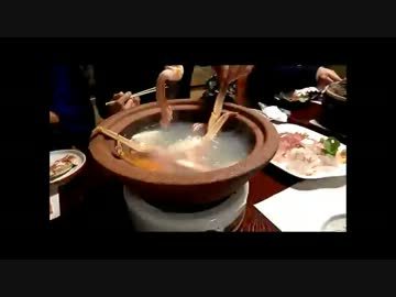 日本海　民宿　カニすき料理