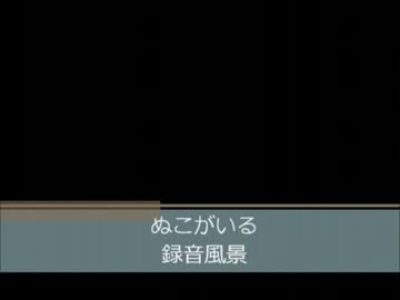 ぬこが録音の邪魔をする、ぬこが