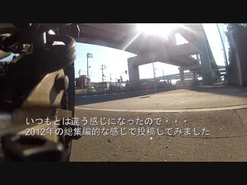 2012年　気付けば1228人のヤエーを撮影してました　その1  487人分