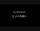 005エメの毛繕い