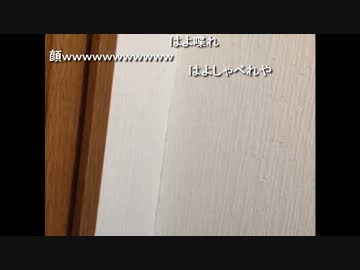 【もこう先生】2013年初放送　part1