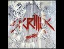 洋楽を高音質で聴いてみよう【700】 Skrillex feat. Sirah 『Bangarang』