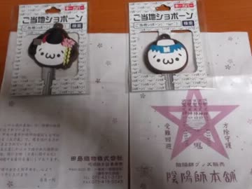 明日から頑張る！明日から・・・