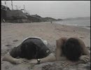 バトルロワイアル（２００１）