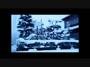 雪の日