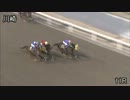 第49回報知オールスターカップ シーズザゴールド