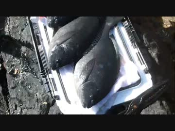 年末年始もだいたい釣りに行く！　その３