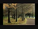 音楽の知識ゼロの俺が曲を作ってみた その9