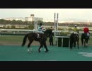 フラガラッハ 20戦目・阪神C（G2）（2012年12月24日阪神11R）