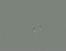 20130103005300.m2ts