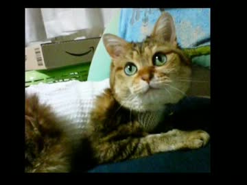 自作曲【私の世界】 alviorsea