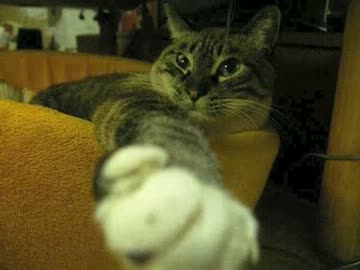 ジャンくんと握手しよう！