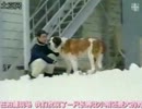 雪夜叉　番宣