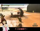 春香さんがWiiUでモンハンをしてるだけ05
