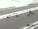 第39回金杯 ブリリアントロビン