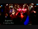 てすとあっぷcranberry alice_brightred20121229nico.mp4
