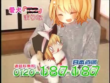 日本直販　愛犬ロボ「UDK」.mp4