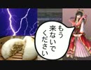 [三國無双６Empires]大喬で君主 難易度難しい part19[ゆっくり実況]