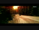 GARMIN MOTORSPORT SUBARU IMPREZA WRX STI SRT