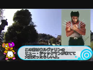 ぼっちだけど初詣行ってきた 2013