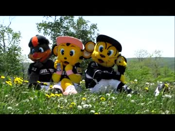 トラッキー・ラッキー・B☆Bの野外記念撮影風景