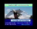 かもめ　SeaGull 24iV-4　本物の鳥のように翼が曲がる羽ばたき機