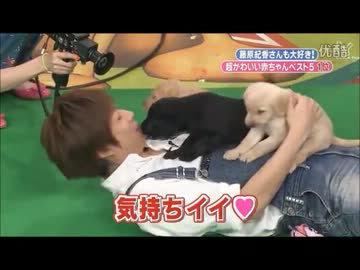 どうぶつたんとう